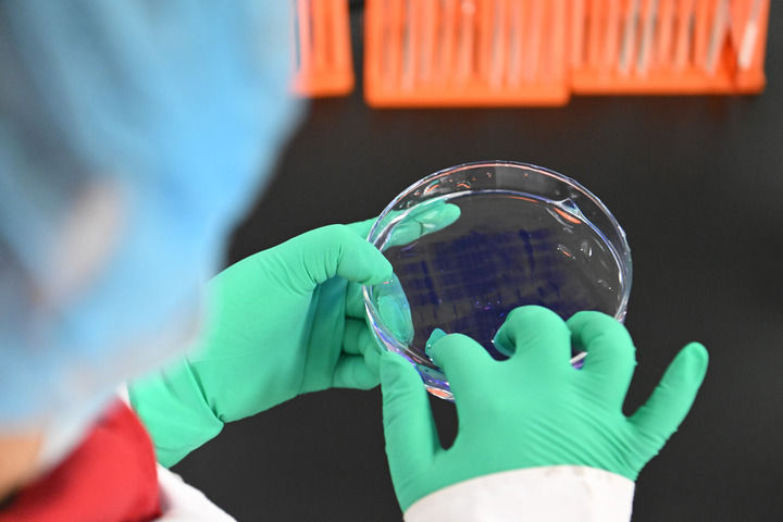 2025年2月20日,在位于京津中關村科技城的中科拜克(天津)生物藥業有限公司,實驗人員在檢驗生物制品蛋白分子量。新華社記者 孫凡越 攝